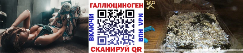 OMG как зайти  Волхов  Псилоцибиновые грибы мицелий 